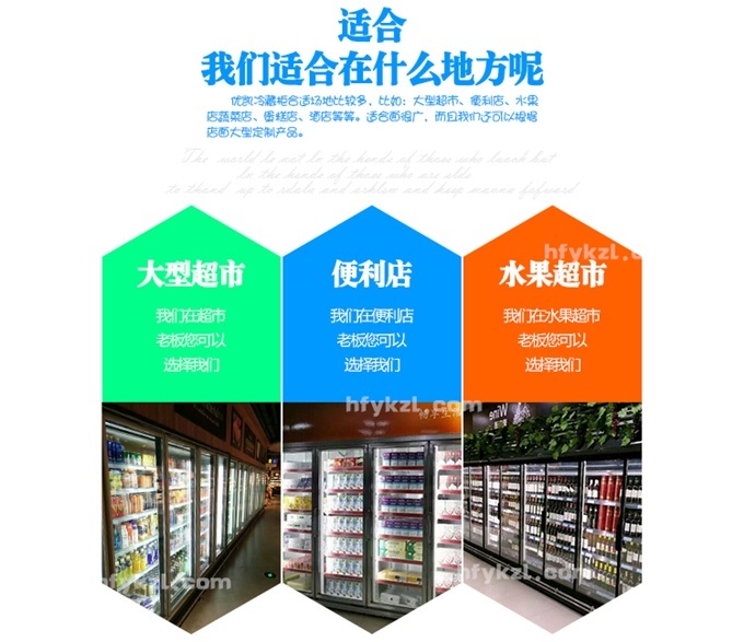 BL-A2單門風(fēng)冷飲料柜-分類頁面