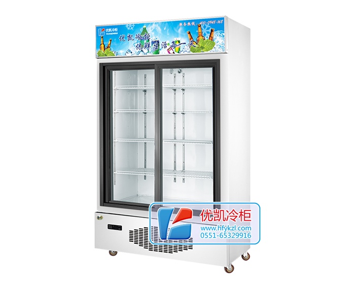 雙門風(fēng)冷便利店冷柜(底置壓機）