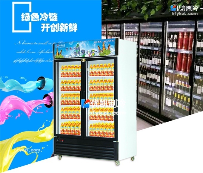 BL-B1雙門直冷陳列柜/飲料柜(暢銷產(chǎn)品)