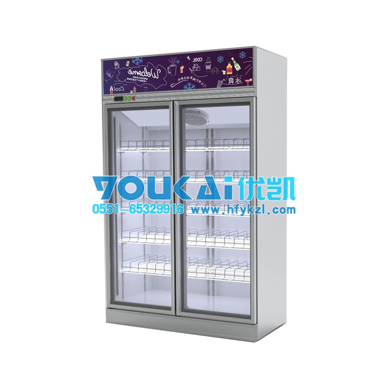 20款BLM-F型標(biāo)準(zhǔn)整體機(jī)玻璃門便利店冷柜飲料柜